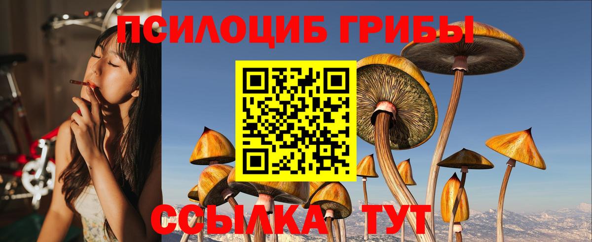 Кохма  Галлюциногенные грибы Magic Shrooms  Вход с VPN 